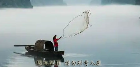 佣兵小队绝命大逃杀，科幻怪兽电影《畸变》震撼上线