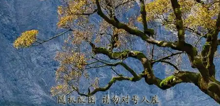 第三届亚洲国际青年电影节在港成功举办 主理人文豪获众大咖肯定