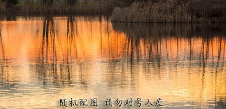 建康《消失的她》演技获赞 哈苏一句“马内”成唯一笑点