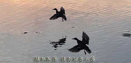 电影《青春就这么过》定档11月11日 导演梁青续写吉他情缘
