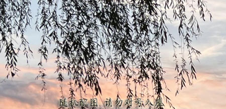 蔡依林品尝深圳公益爱心水饺 呼吁更多人关注“让爱不再罕见”