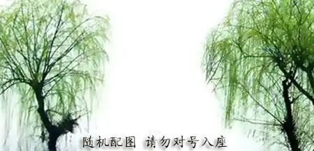 电影《波依拉》明日上映 人与骆驼上演最美草原情