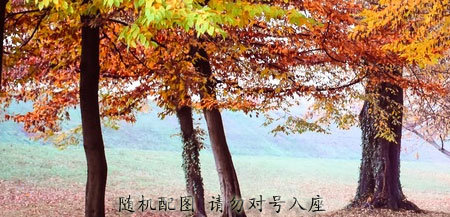 蔡依林拜访武汉黑猫公益咖啡屋 心酸救助故事引蔡依林落泪 武汉过早初体验